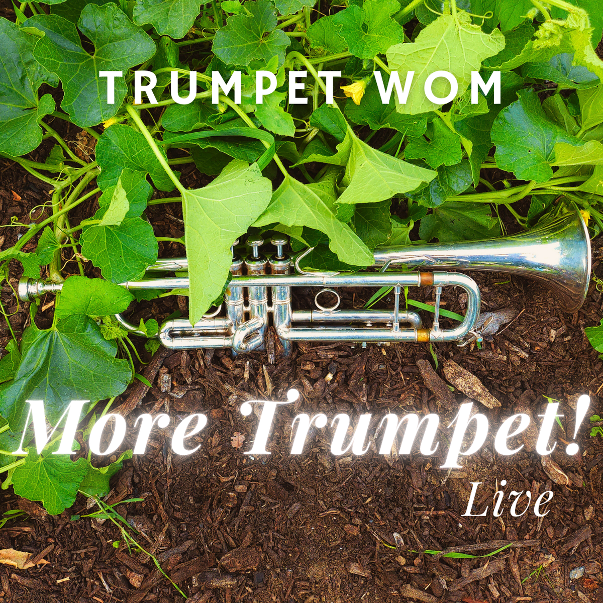 More Trumpet! Live MP3 Album
