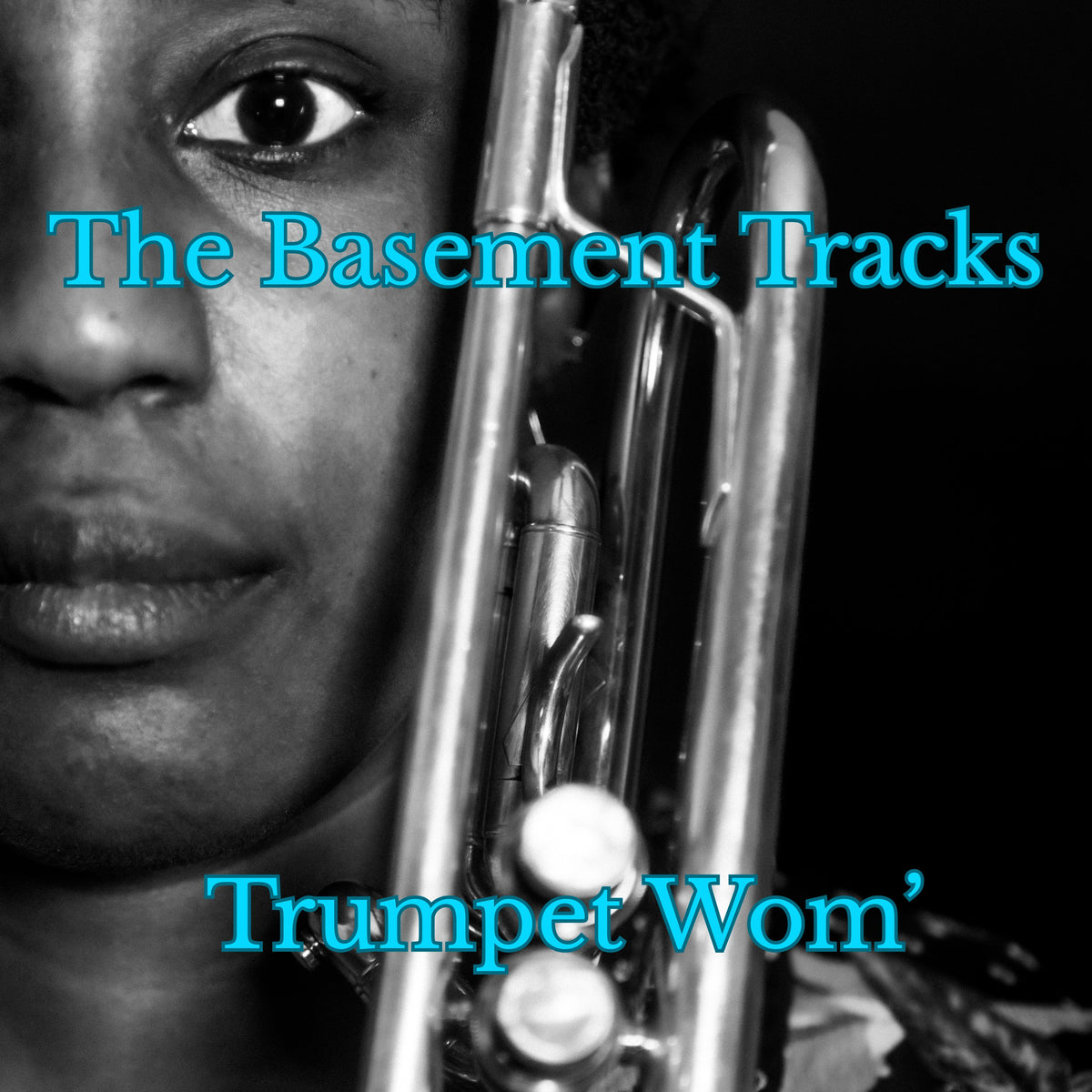 The Basement Tracks - MP3 Album