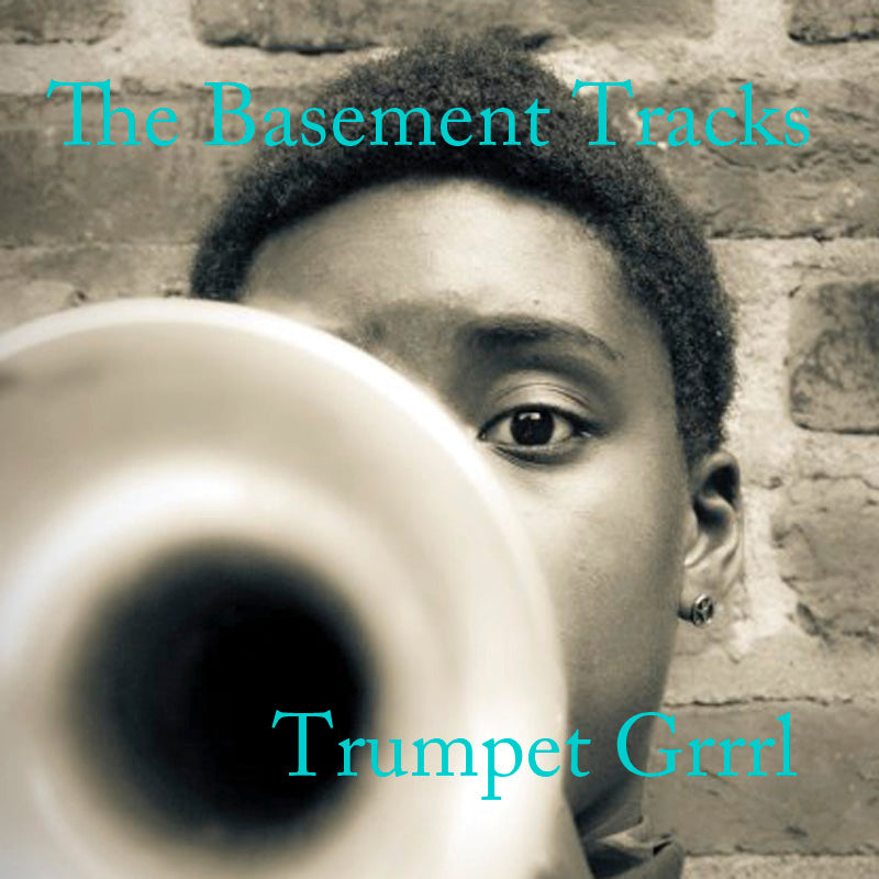The Basement Tracks - MP3 Album